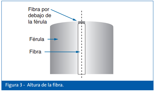 Altura-de-la-fibra