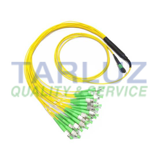 MTP/MPO - 12 FC Fiber Optic Harness Breakout/Fanout Cable - TARLUZ 